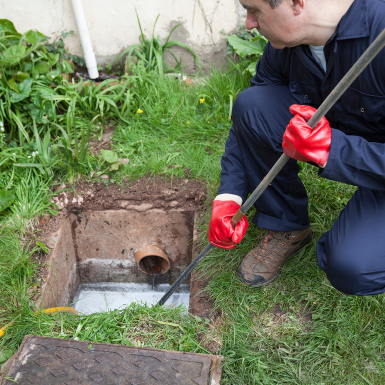 professional drain field rehabilitation